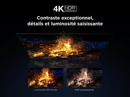 TCL 50Q6C QD-Mini LED TV, 4K HDR Premium 1000nits, Smart TV alimenté par Google (Dolby Vision IQ et Atmos, système Audio Onkyo 2.1, Motion Clarity Pro 144Hz, contrôle Vocal Mains Libres)